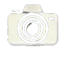 Our Partner