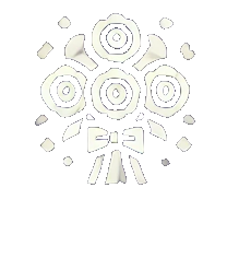 Our Partner