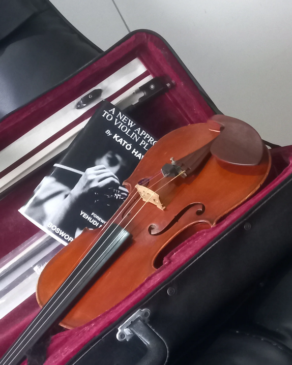 The Violin Room