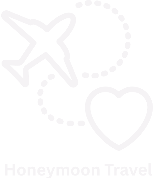 Our Partner
