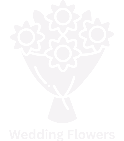 Our Partner
